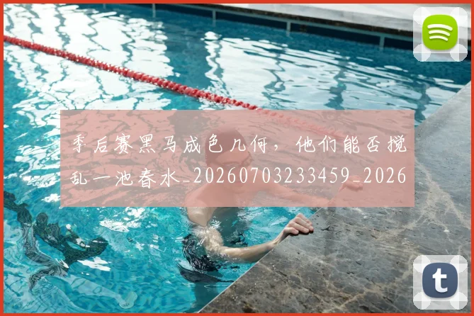 季后赛黑马成色几何，他们能否搅乱一池春水_20260703233459_20260720193251